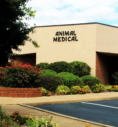 Animal Medical Clinic of Chesapeake