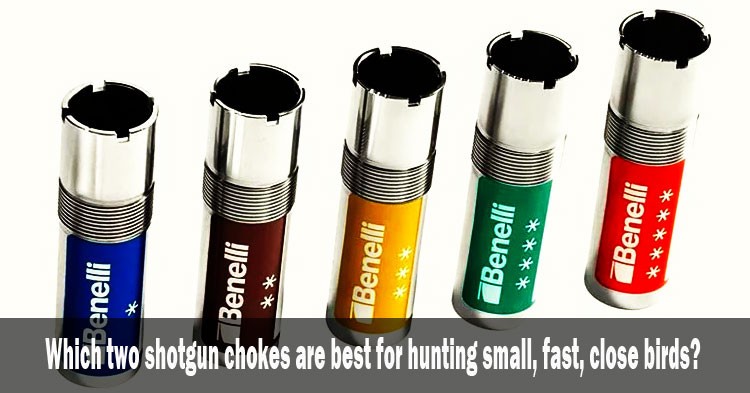 Which two shotgun chokes are best for hunting small, fast, close birds?