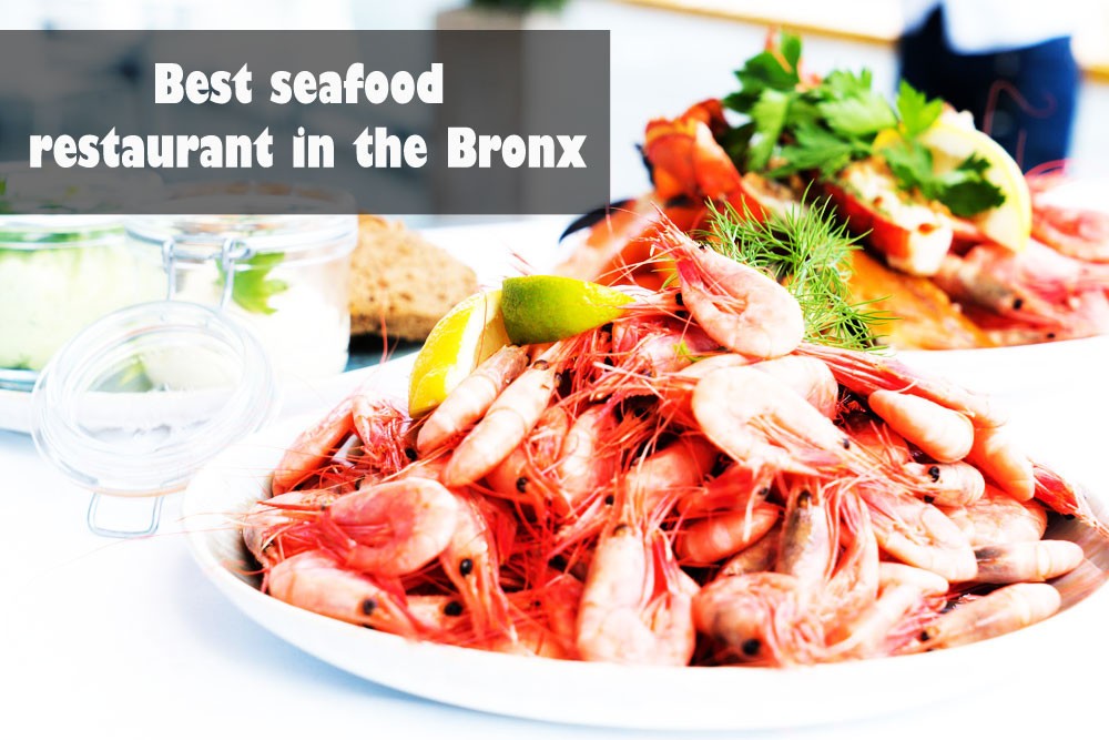 Best seafood restaurant in Bronx