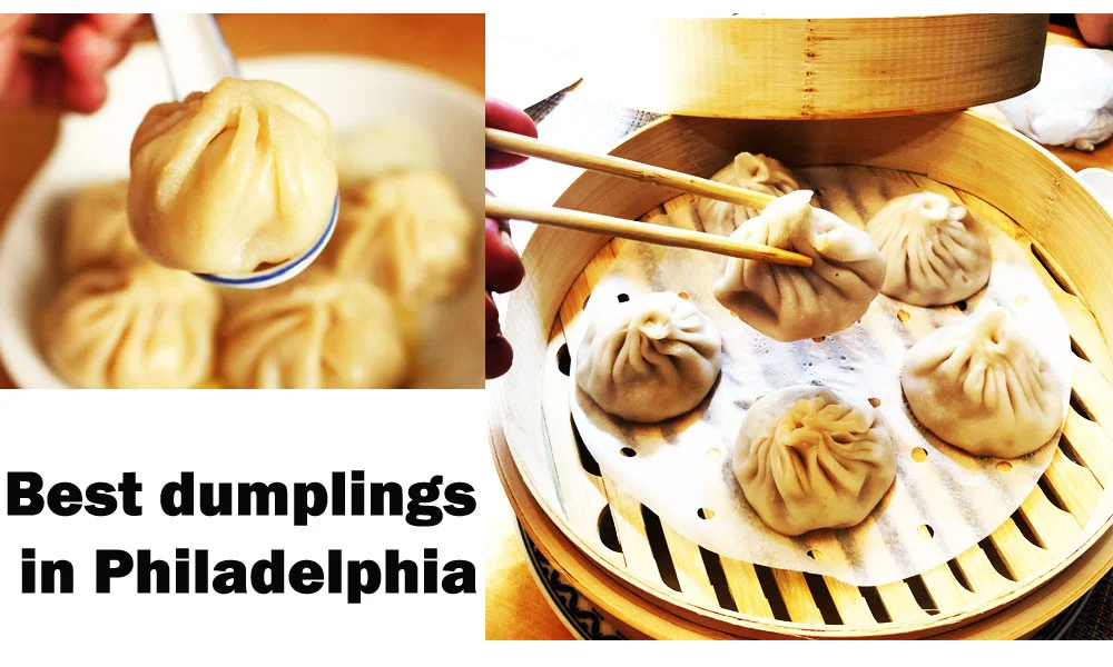 Best dumplings in Philadelphia